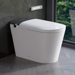 DeerValley DV-1S0442-V3 Smart Toilet with All-Season Adaptive Comfort, Rotating Foam Shield