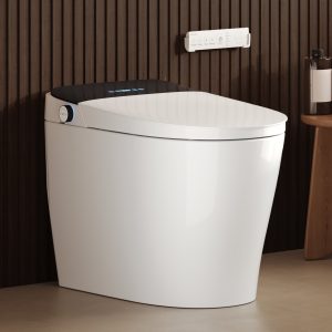 DeerValley DV-1S0450 Intelligent Elongated Toilet: Siphon Jet Flush with Integrated Bidet & Remote Control