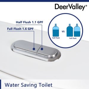 DeerValley Chrome-Plated Dual Flush Button (Fit with DV-1F52102)
