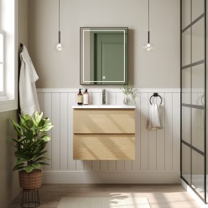 DeerValley DV-1BV0268NW Bathroom Vanities Wall-Mounted Soft-Close Storage
