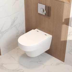 2-Piece Toilet Elongated Dual-Flush Wall Mounted Toilet  (Seat Included) - DV-1F00292-CF/DV-1F0292