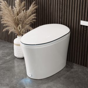 DeerValley DV-1S0019-V3 Smart Bidet Toilet with Purified Water Cleaning for Enhanced Hygiene